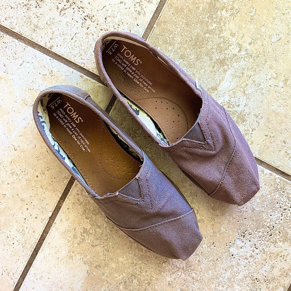 TOMS Alpergata Canvas in color ‘Ash’
